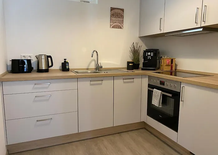 Appartement Discovavir - Super Zentral Mit Parkplatz, Kueche, Netflix Und Mehr Eisenach